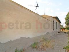 A Vendre - Finca - Elche - Perleta