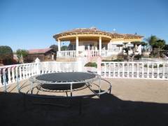 Sale - Finca - Catral