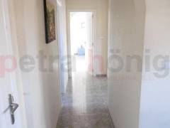 Sale - Finca - Catral