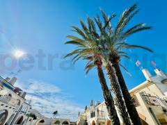 Gebrauchtobjekte - Reihenhaus - Torrevieja - La Siesta