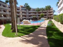 Resales - Lägenhet - Playa Flamenca - Playa Flamenca I