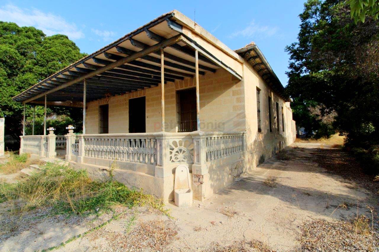 A Vendre - Finca - Elche - Perleta