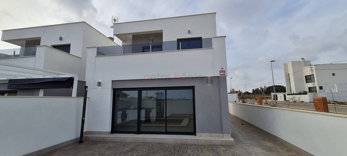 Neubau-Projekte - Einfamilienhaus - Orihuela Costa - Los Dolses