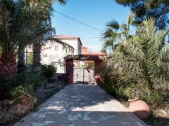 A Vendre - Finca - Jacarilla - Vistabella golf