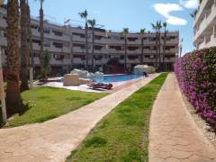 Gebrauchtobjekte - Apartment - Playa Flamenca - Playa Flamenca I