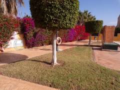 Resales - Villa - Cabo Roig