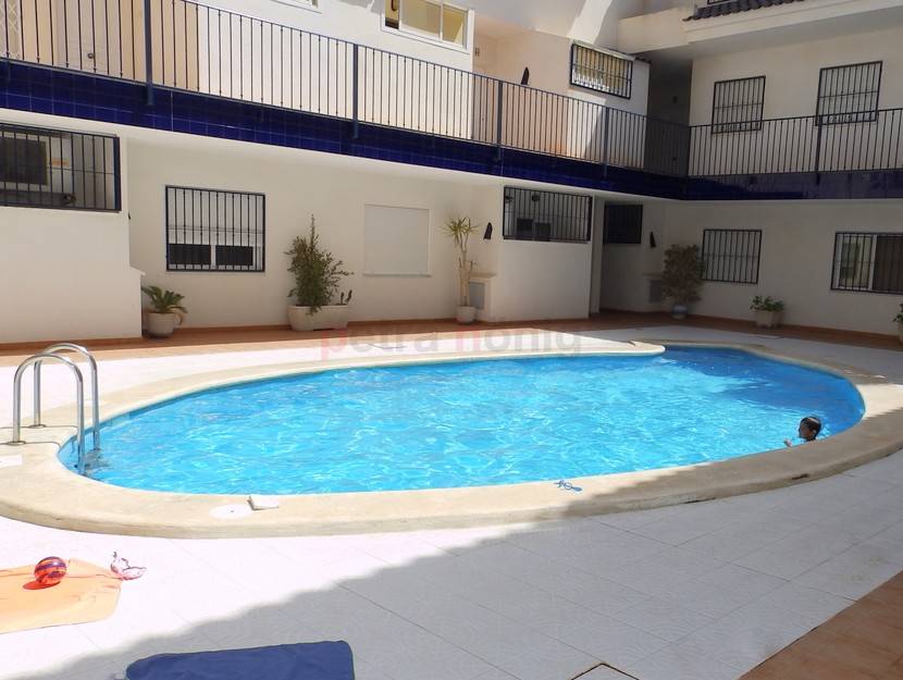 Reventa - Apartamento - Torrevieja