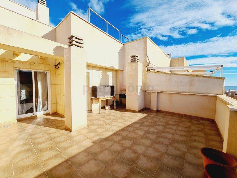 Gebrauchtobjekte - Apartment - La Mata