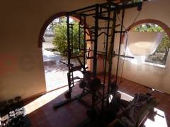 Sale - Finca - Catral