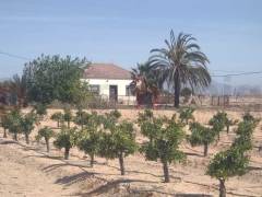 Gebrauchtobjekte - Finca - Vista Bella Golf