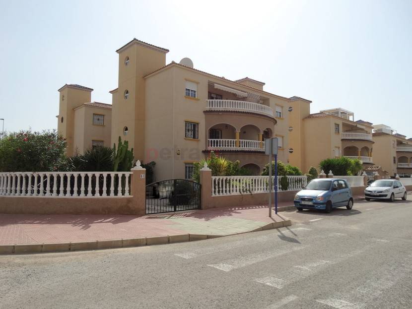 Gebrauchtobjekte - Apartment - Cabo Roig