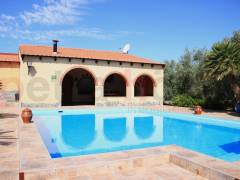 Sale - Finca - Catral