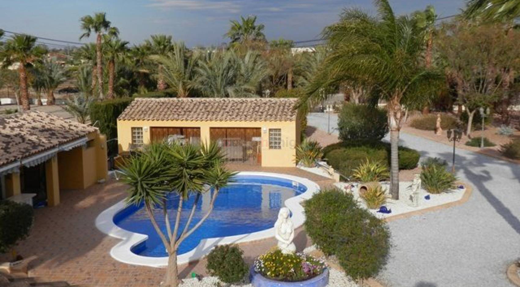 Sale - Finca - Catral