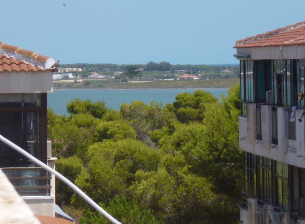 Reventa - Apartamento - Torrevieja