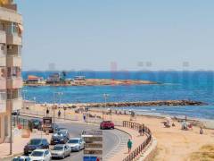 Obra Nueva - Apartamento - Torrevieja - Playa de los Locos