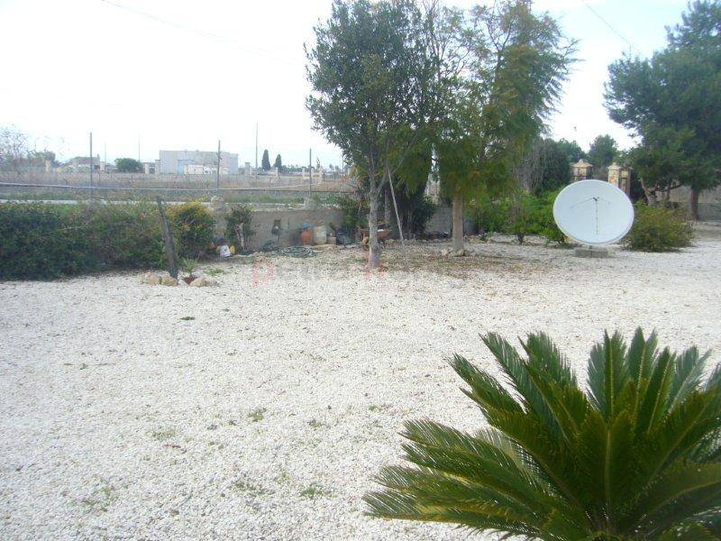 A Vendre - Finca - Callosa de Segura - Callosa Del Segura