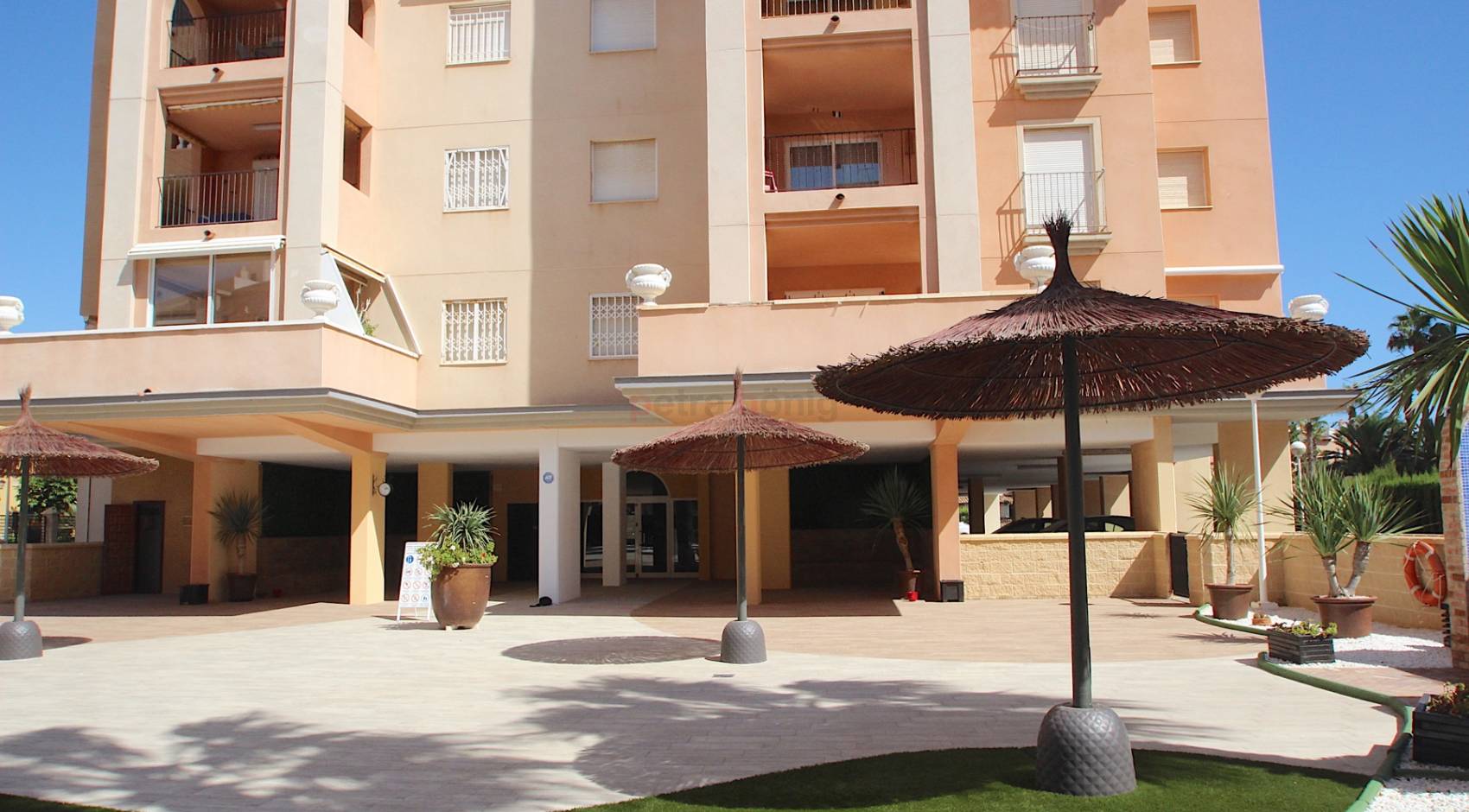 Gebrauchtobjekte - Apartment - Torrevieja