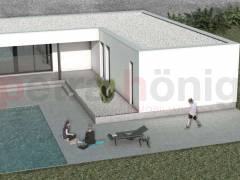 New build - Villa - Pinoso