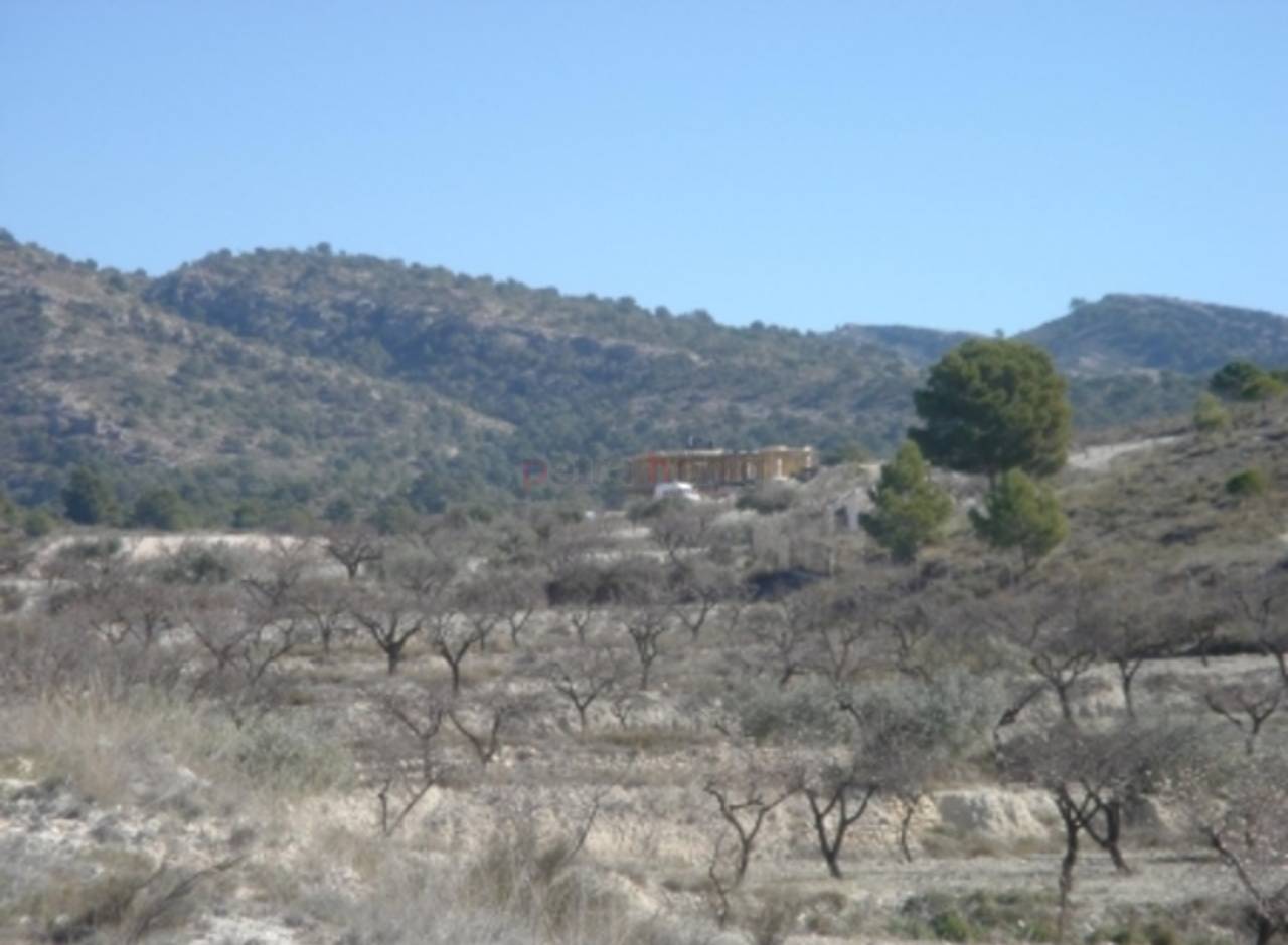 A Vendre - Finca - Sax