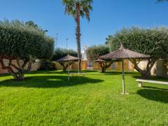 Resales - Apartment - Torrevieja