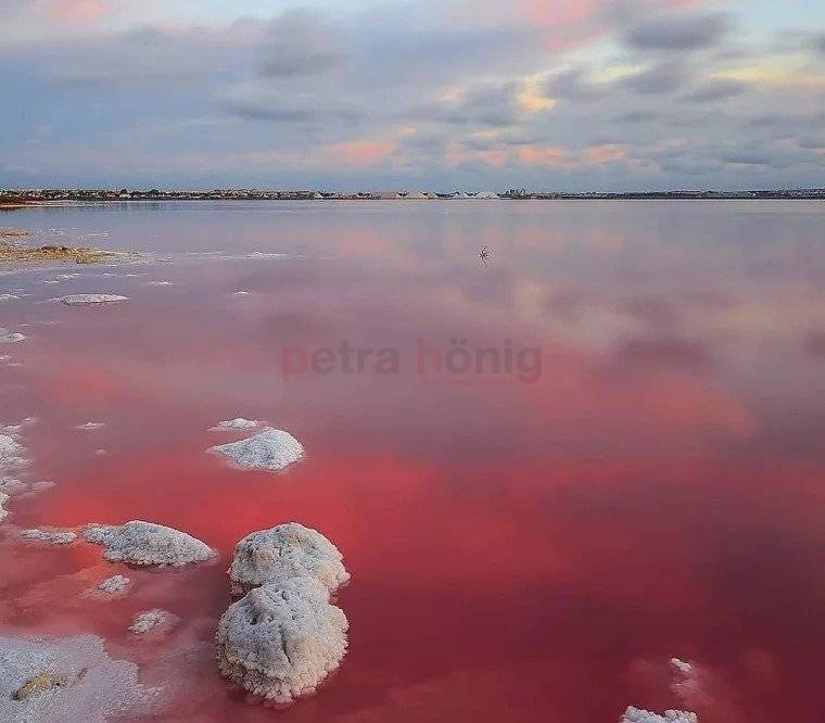 Nybygg - Villa - Torrevieja - Lago jardin