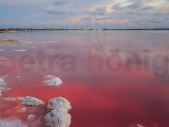 mpya - Tomannsbolig - Torrevieja - Lago jardin