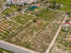 Resales - Plot - Algorfa