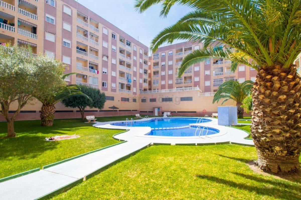 Gebrauchtobjekte - Apartment - Torrevieja - Villa Madrid