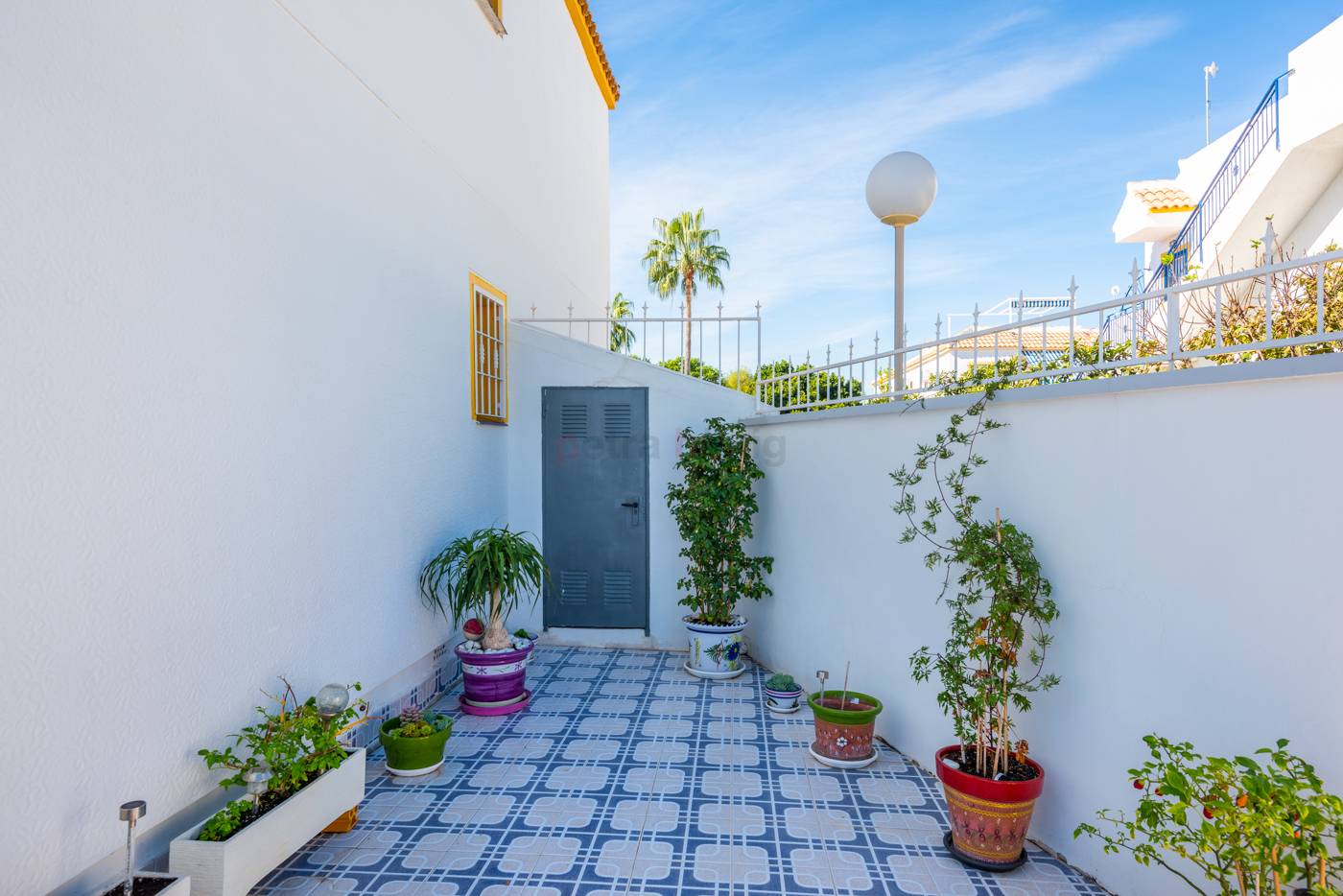 Reventa - Apartamento - Torrevieja