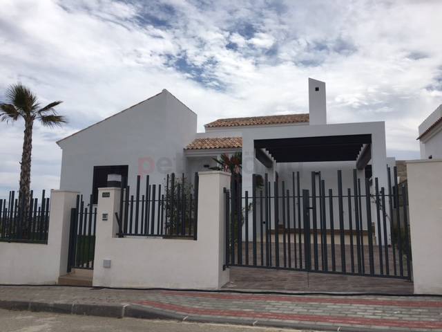 New build - Villa - Algorfa