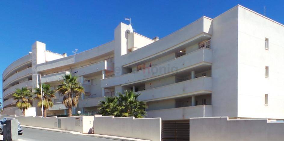 Nouvelle Construction - Appartement - Orihuela Costa - PAU 8