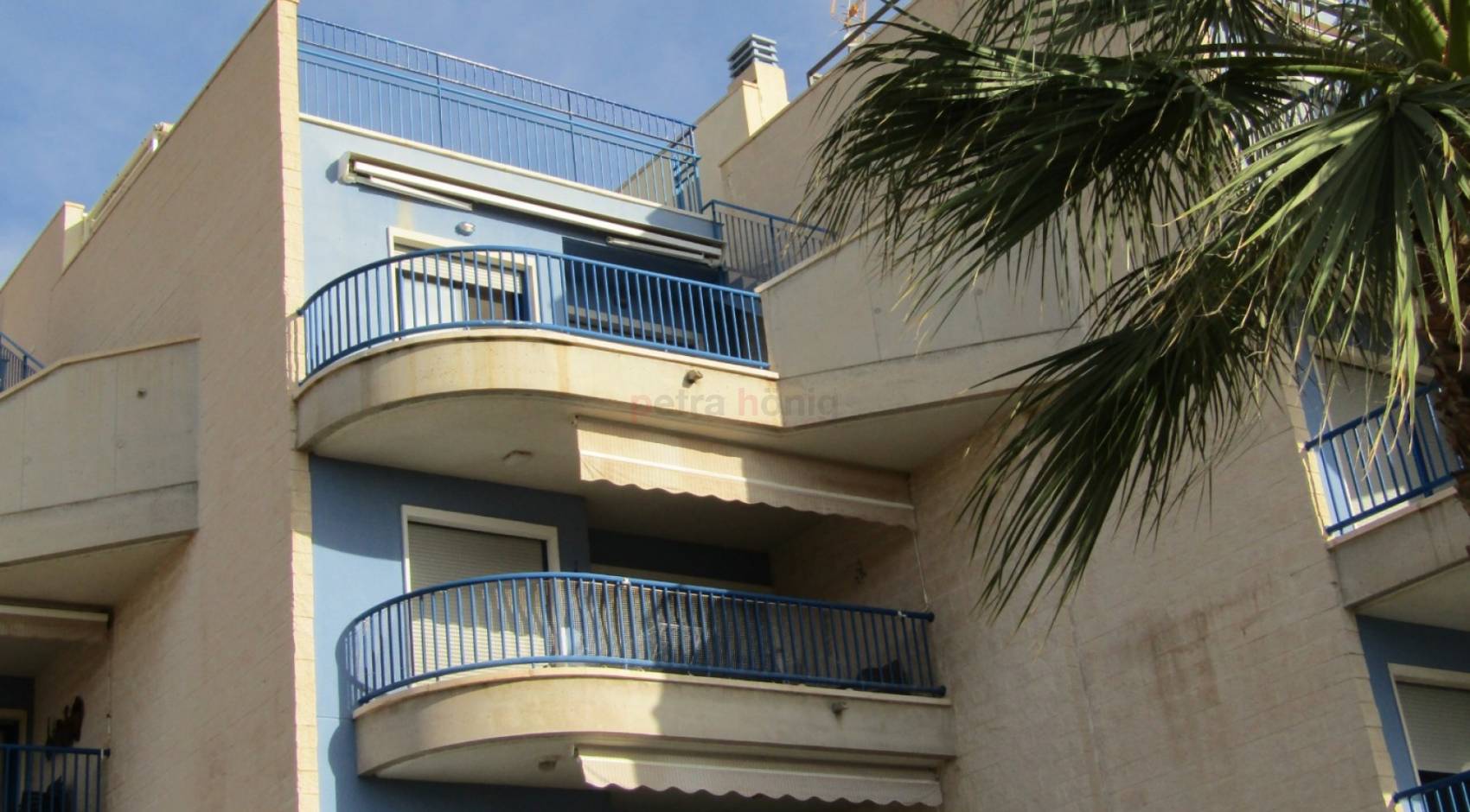 Resales - Lägenhet - Orihuela Costa - Cabo Roig