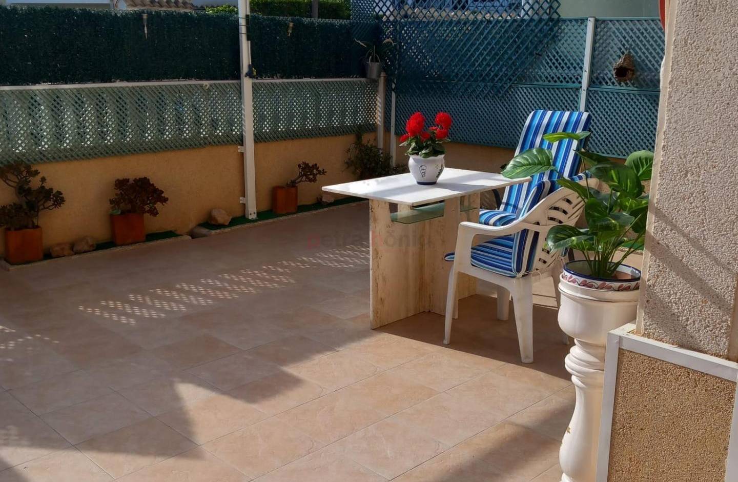 Reventa - Bungalow - Torrevieja - Torreblanca