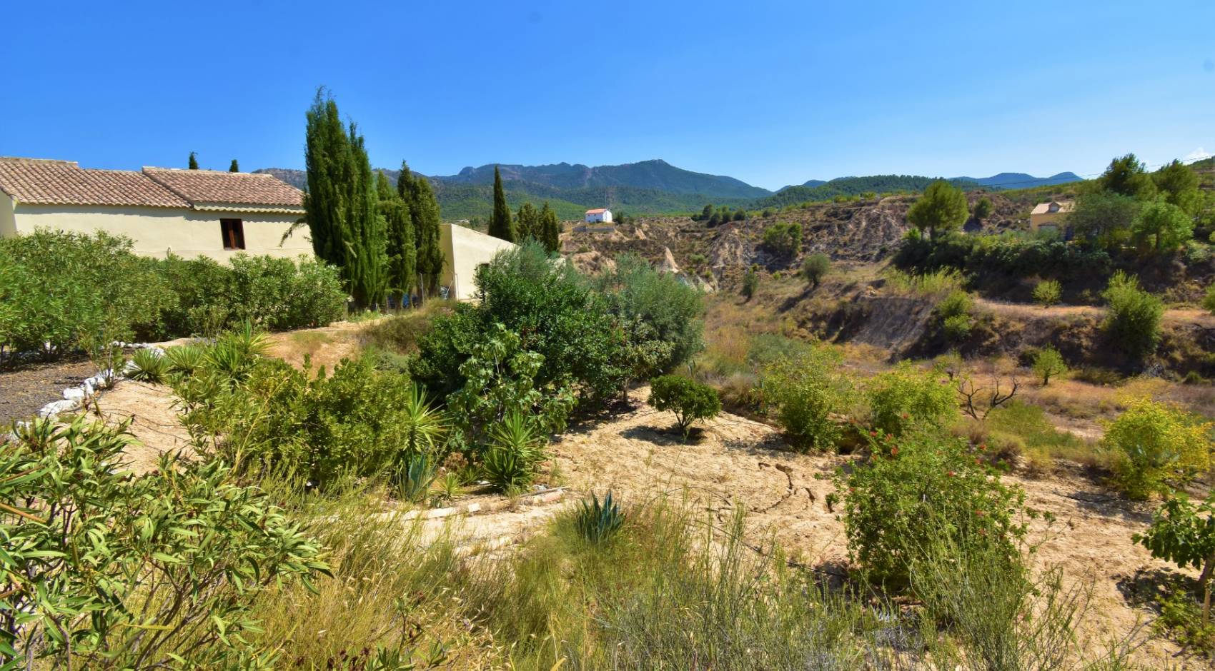 Sale - Finca - Other areas - Ricote