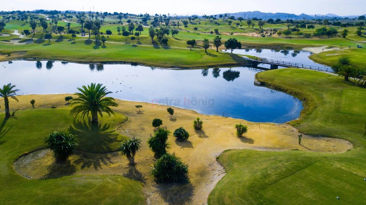 New build - Villa - Orihuela Costa - Vistabella golf