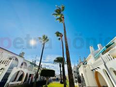 Reventa - Adosado - Torrevieja - La Siesta