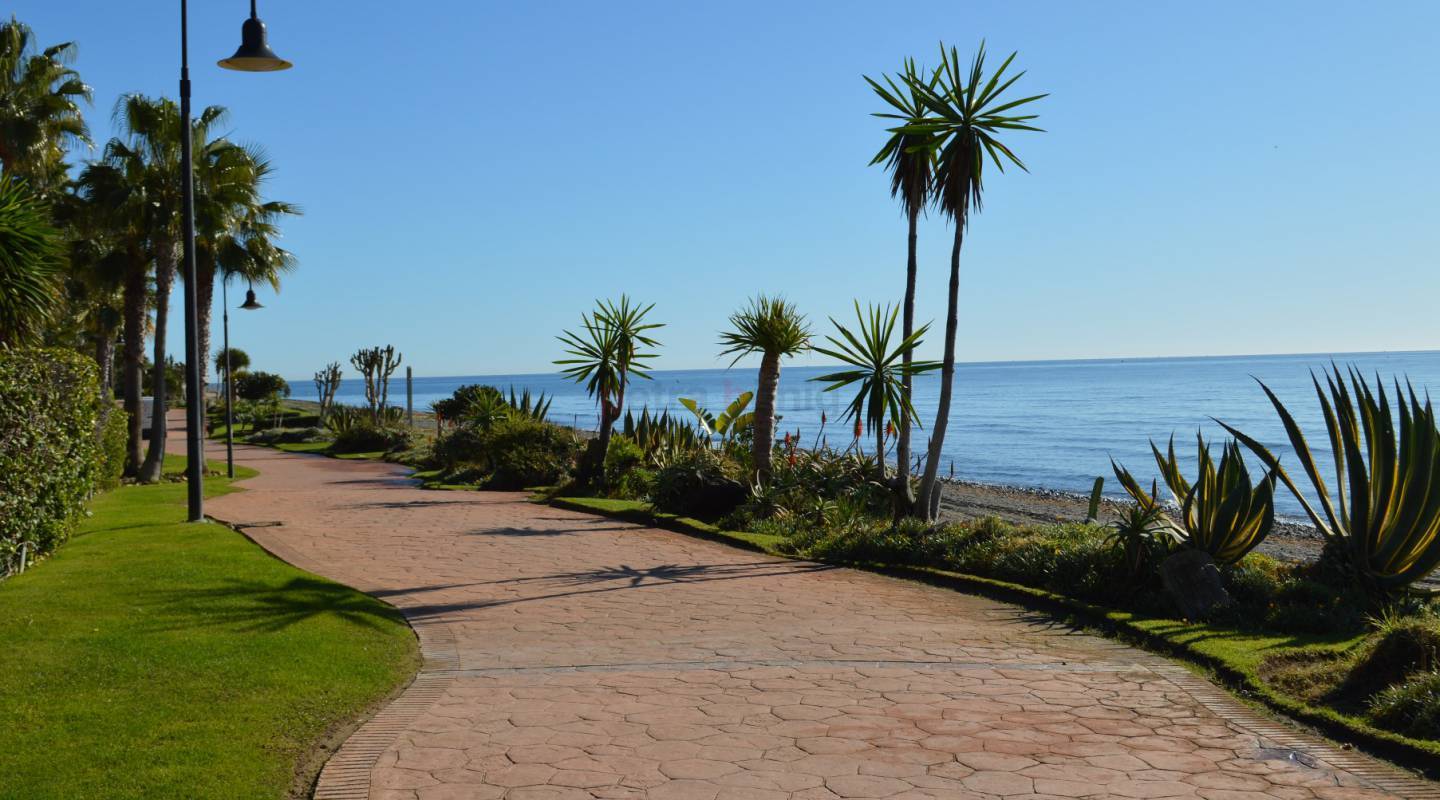 A Vendre - Appartement - Malaga - Estepona