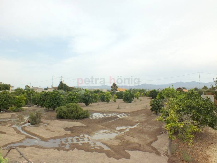 Resales - Villa - Catral