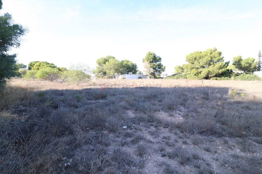 Resales - Plot - Orihuela Costa - Lomas De Cabo Roig