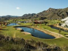 Nouvelle Construction - Jumelée - Other areas - San Juan de los Terreros