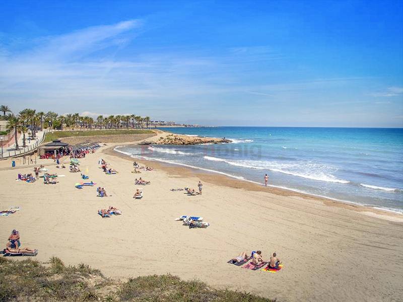 Nybygg - Leilighet - Playa Flamenca