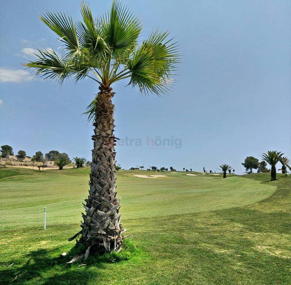 Neubau-Projekte - Einfamilienhaus - Vista Bella Golf - Entre Naranjos