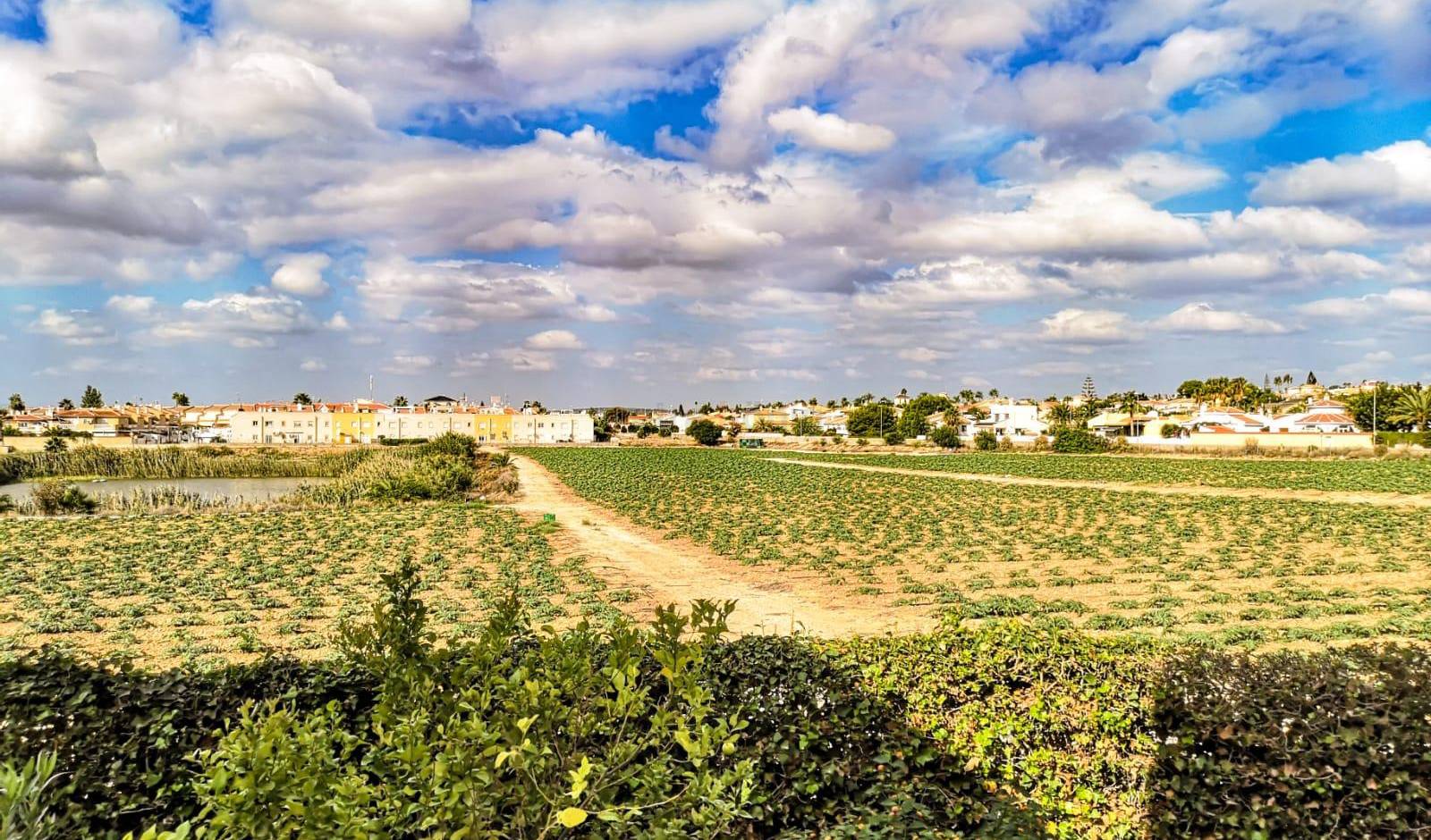 Gebrauchtobjekte - Apartment - Ciudad Quesada - Pueblo Bravo