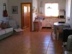 Sale - Finca - Crevillente