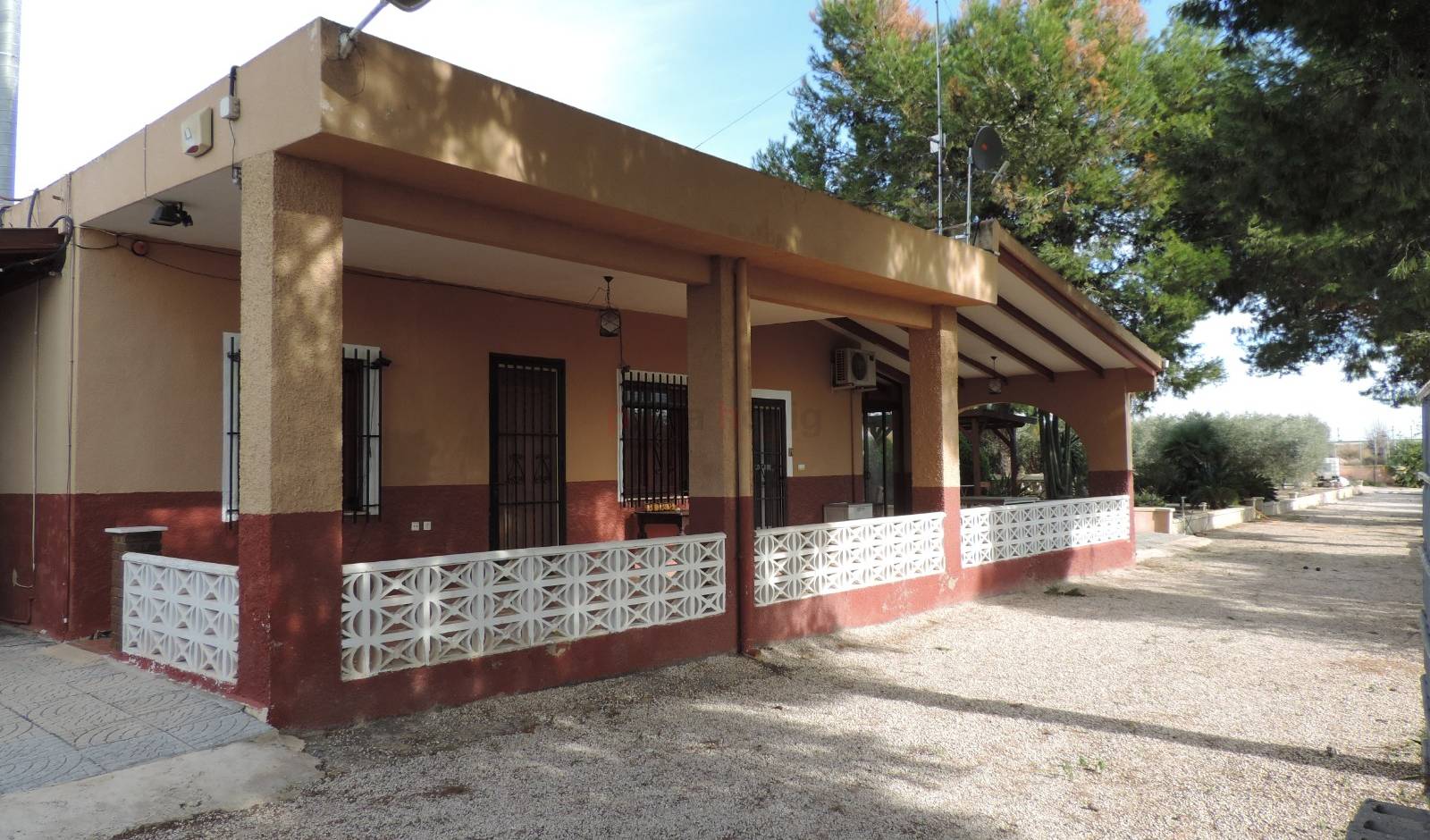 Sale - Finca - Crevillente