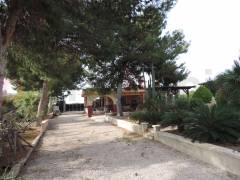 A Vendre - Finca - Crevillente