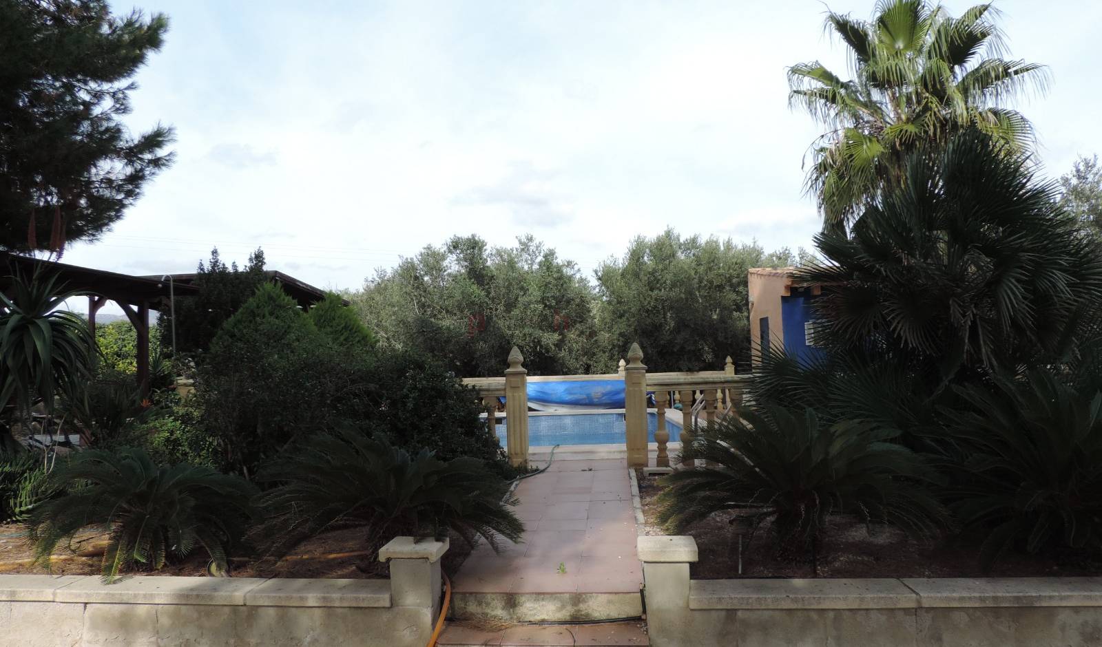 A Vendre - Finca - Crevillente