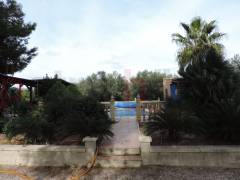 Reventa - Finca - Crevillente