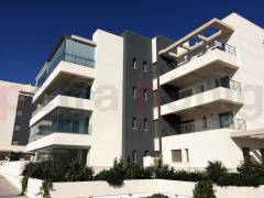 Neubau-Projekte - Apartment - Los Dolses
