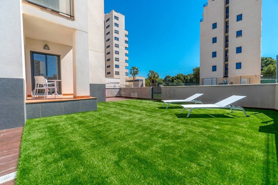 Gebrauchtobjekte - Apartment - Guardamar del Segura